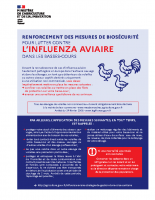 Flyer_biosecurite_basses-cours